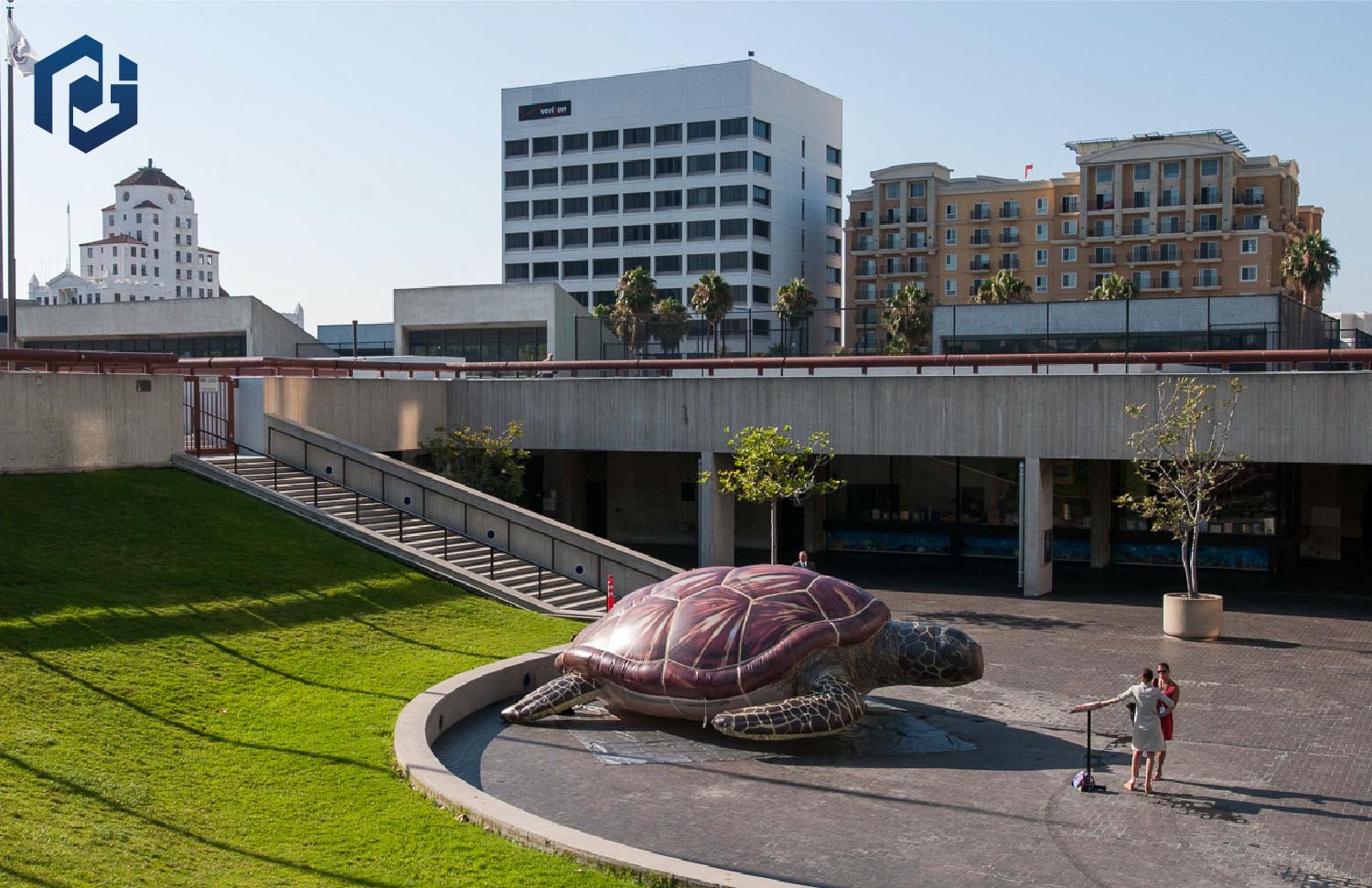 15-foot-sea-turtle-at-event