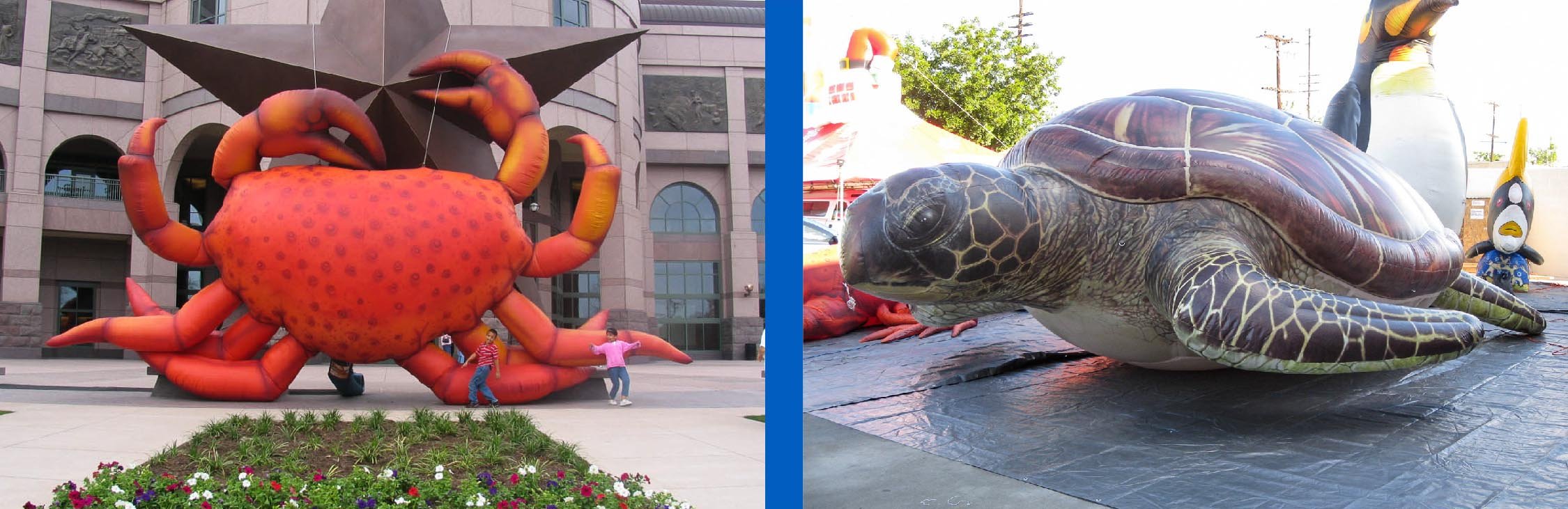 inflatable-crab-and-inflatable-sea-turtle