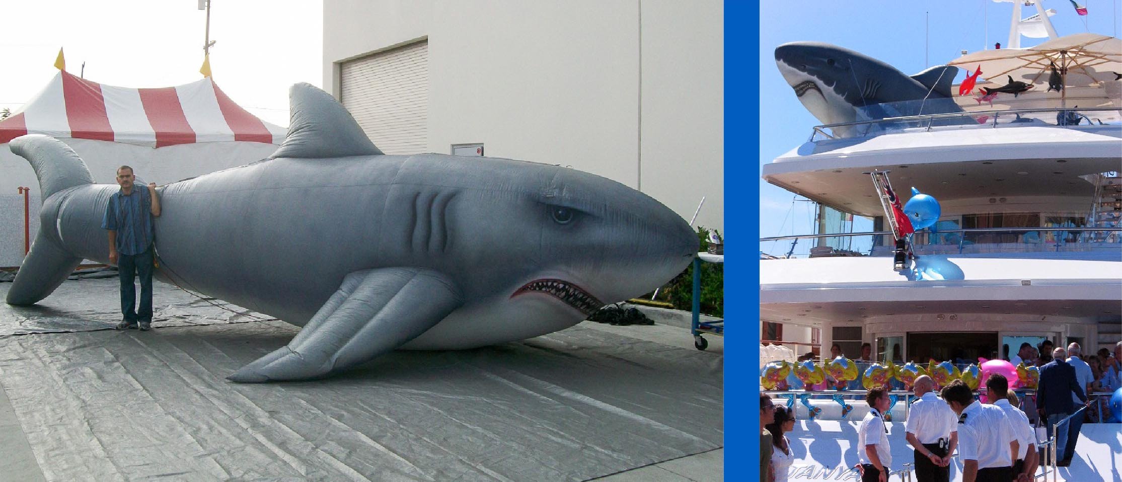 inflatable-hand-painted-shark