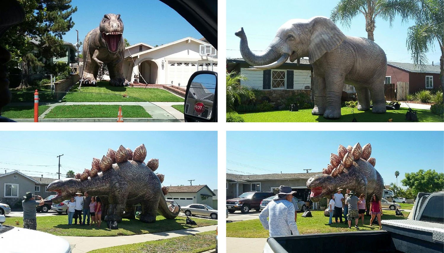 drive thru safari animals