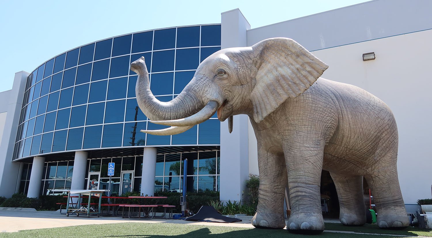 Realistic Elephant