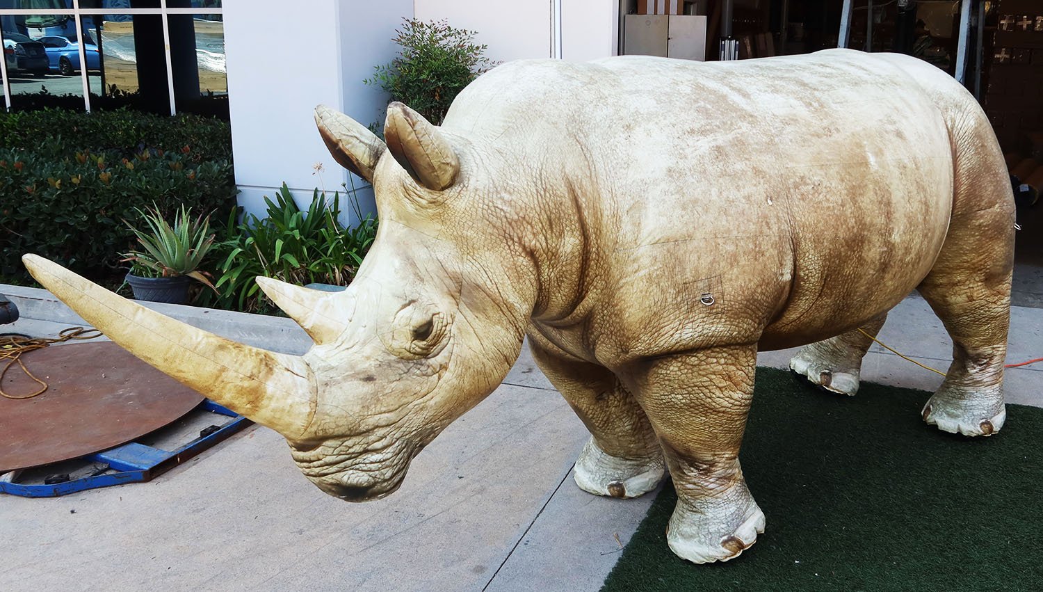 realistic-rhinoceros-prop